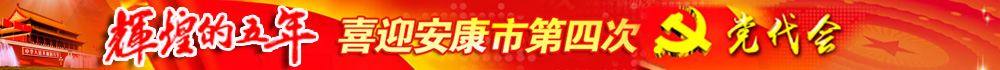 辉煌的五年